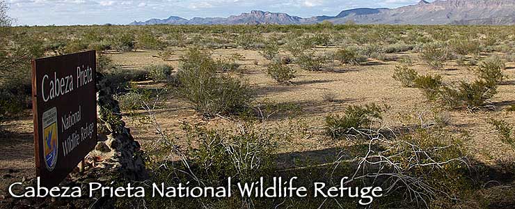 Cabeza Prieta National Wildlife Refuge