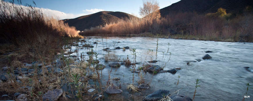 Looking down the Gila River in Gila Box National Conservation Area