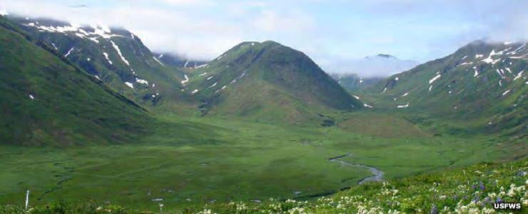 An aerial view of Jarmin Pass and Massacre Bay