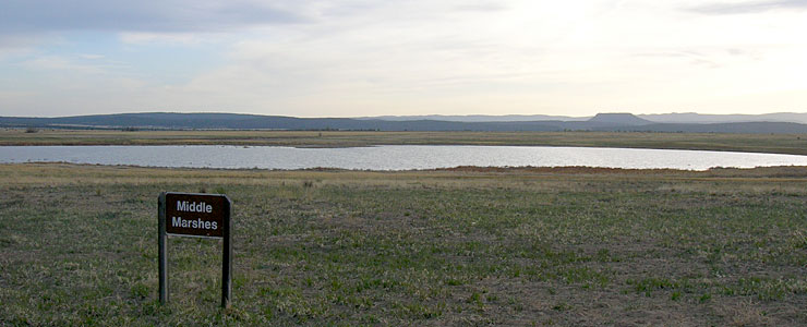 The Middle Marshes at Las Vegas National Wildlife Refuge