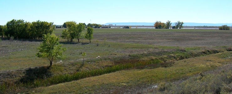 Looking across the fields and ponds at Maxwell National Wildlife Refuge