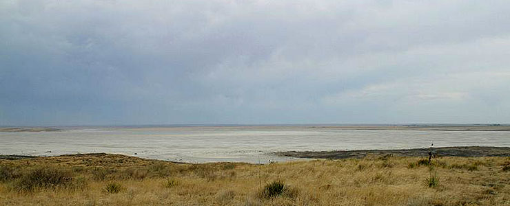 Salt Lake Playa, Grulla National Wildlife Refuge