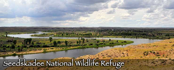 The Green River meanders across Seedskadee National Wildlife Refuge