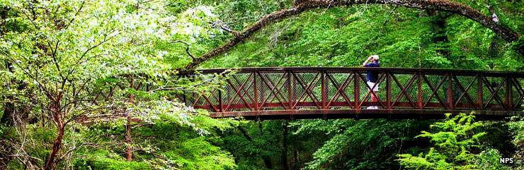 On a footbridge in Big Thicket National Preserve