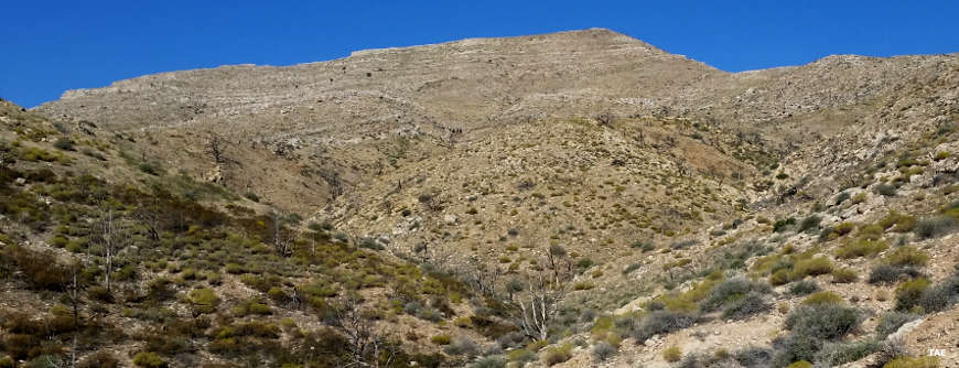 A view uphill across stark desert in the Beaver Dam Wash area