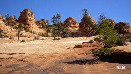 Hoodoos and knobs in Canaan Mountain Wilderness