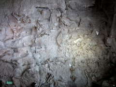 The Dinosaur Quarry wall