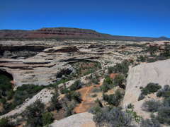A view of the meandering canyon