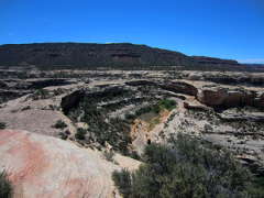 A view of the canyon