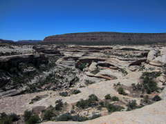 A view of Sipapau Bridge