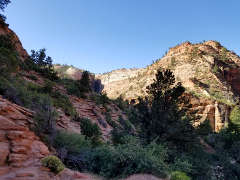 Another view to the west near the top of that first hill, cliffs rising above the Ponderosas