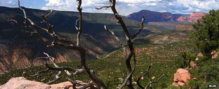 Looking north through the Kolob Canyons area of Blackridge Wilderness