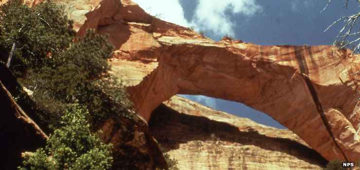 Kolob Arch in Zion Wilderness, just west of Beartrap Canyon Wilderness