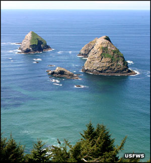 San Juan Islands National Wildlife Refuge