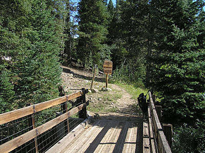 At the edge of Huston Park Wilderness